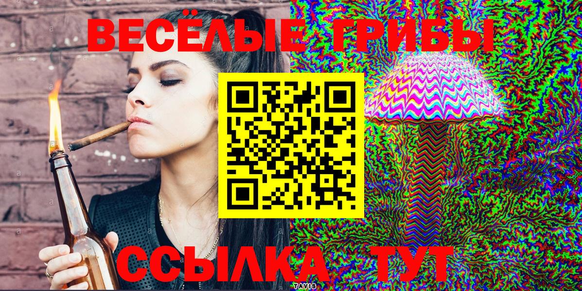 Псилоцибиновые грибы Psilocybine cubensis  Вход с VPN  Серов 
